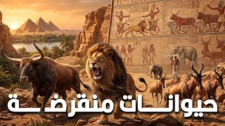 حيوانات منقرضة عاشت في مصر القديمة دندنها