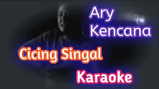 Download Ary Kencana - Cicing Singal Karaoke MP3