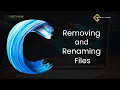 C97 Remove and Rename Files in C