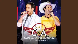 pout pourri abelhas certos detalhes