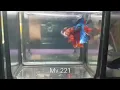 MV 221