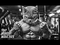 Download Lagu BEST GYM WORKOUT MUSIC MIX 2025 🔥 POWERFUL WORKOUT MUSIC 🏆 WORKOUT TRAINING MOTIVATION MUSIC 2025