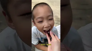                     دندنها