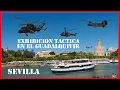 💥 Ejercito español en accion - DIFAS 2019 Guadalquivir Sevilla - Espectaculares Fuerzas Armadas 🚁