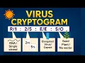 Cryptogram of Virus