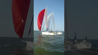 GBCA Rum Race 5 #shorts