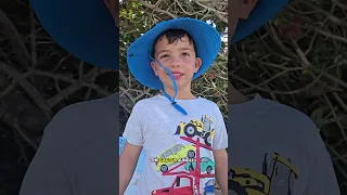 5 year old makes the decisions – part 2