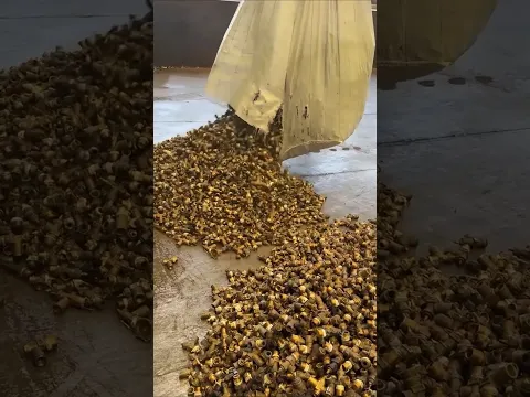 Tons of Scrap Brass Fittings Ready for Recycling