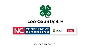 Build a Bridge - 4-H Engineering