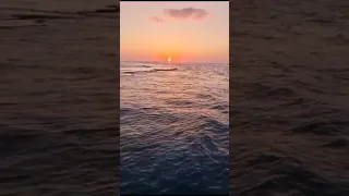 رعى الله الأحب ة حيث حل وا لهم في القلب مرتحل وح ل خيول الشوق مسرجة إليهم 