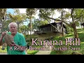 Download Lagu Penang Durian Farm-The Most Beautiful Durian Farmstead-Karuna Hill- For Stay and Durians槟城最浪漫榴莲园别墅