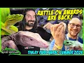 Tinley Park NARBC Summer 2026 - Rattle On Awards are back