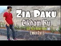 Download Lagu lagu lampung top TIKHAM KU Zia Paku cipt. Nasruddin Paku (mixdut)