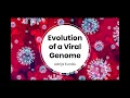 Viral Evolution in 4 minutes
