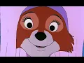 Download Lagu Robin Hood - Golden Arrow (Latin Spanish) 720p 480p HD SD