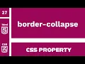 CSS Property border-collapse explained