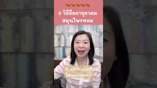  วิธีเก็บสมุนไพรหอมให้กลิ่นคงทนและไม่เสื่อมเร็วคืออย่างไร 