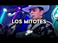 Panter Belico - Los Mitotes (Corridos 2023)