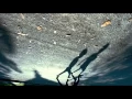Video di THE TREE OF LIFE Official HD Trailer