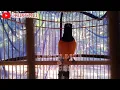Download Lagu Pancingan GACOR Murai Batu EMOSI 100%Efektif bikin NGAMUK bongkar isian cililin kenari katem