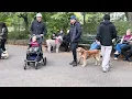 In My Life (Beatles) 💙 Strawberry Fields – Gabriel – NYC 