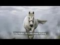 Clay Walker - If I Could Make A Living