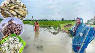 জমিতে ভরা জলে জাল পেতে মাছ ধরলাম, রান্না হলো মাছের বড়া, কাঁকড়ার ঝাল আর কই মাছের ঝোল