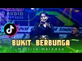 Lagu BUKIT BERBUNGA - NURLITA MELODYA - OM ACS