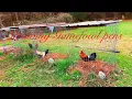 Strawing Gamefowl pens
