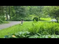 Download Lagu WhatsApp Video 2025 06 28 at 11 46 28 19205535