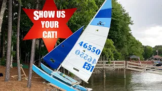 Show us your cat! Episode 51   USA