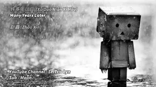  xu duo nian yi hou zhao xin lyric subtitle terjemahan english bahasa