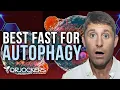 Autophagy Fasting What Happens to Your Body Best Autophagy Enhancers
