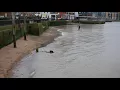 Cutty Sark - Tides near River Thames