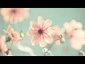 فيروز ياجبل البعيد خلفك حبايبنا _ Fairouz - Ya Gabal Elly Baeed
