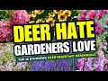 DEER HATE GARDENERS LOVE Top 15 Stunning Deer-Resistant Perennials