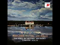 Humoresques, Op. 101, B. 187: VII. Poco lento e grazioso - Tiffany Poon & Antonín Dvorák
