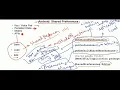 shared preference android basics