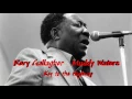 Rory Gallagher - Muddy Waters - Key to the Highway