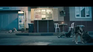 dp yunus roy imer on space dogs