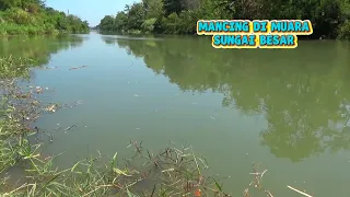 Mancing ikan Putihan Dulu,Di muara Besar Saat air pasang