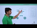 ADO NET - Introduction