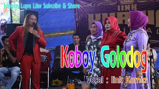 Download KOBOY GOLODOG - IINK KURNIA LIVE MP3