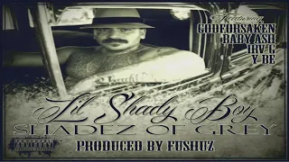 lil shady boy shadez of grey