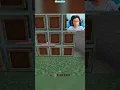 Download Lagu Minecraft Fake Wall はいよろこんで