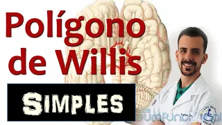 POLÍGONO DE WILLIS, Entenda de uma vez por todas! (Aula em 3D) - Prof. Rogério Souza