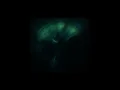 Download Lagu Grouper - Poison Tree slowed \u0026 reverb 1 hour w/rain