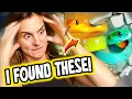 Download Lagu We Opened a Zoo Wall and Found THESE…