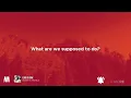 David Guetta, Chris Willis - Love Is Gone (Lyrics)