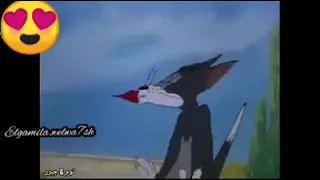 حماده هلال مش هقول على اللي حصل بيني وبينه حبيبي   دندنها